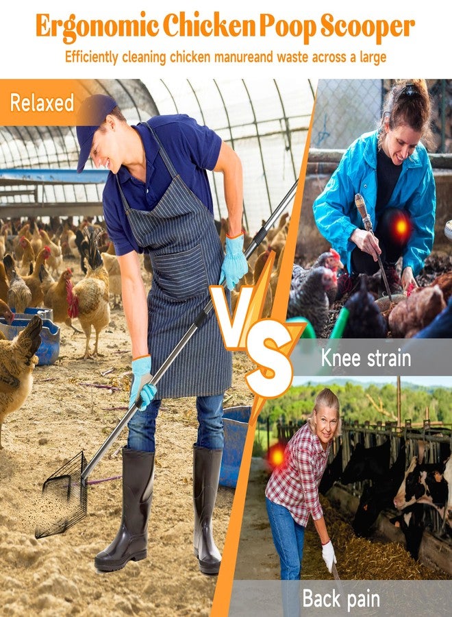 ZINGTERRA 4-in-1 10" Large Chicken Poop Scooper with Gloves,Sifting Shovel Rake,Henhouse Cleaning Tool,Adjustable Long Handle (22.4-62") Litter Scoop,Stainless Steel Poop Shovel for Farm,Goat Stall Accessories - Image 4